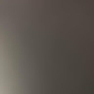 Meet your Posher, Dominisha